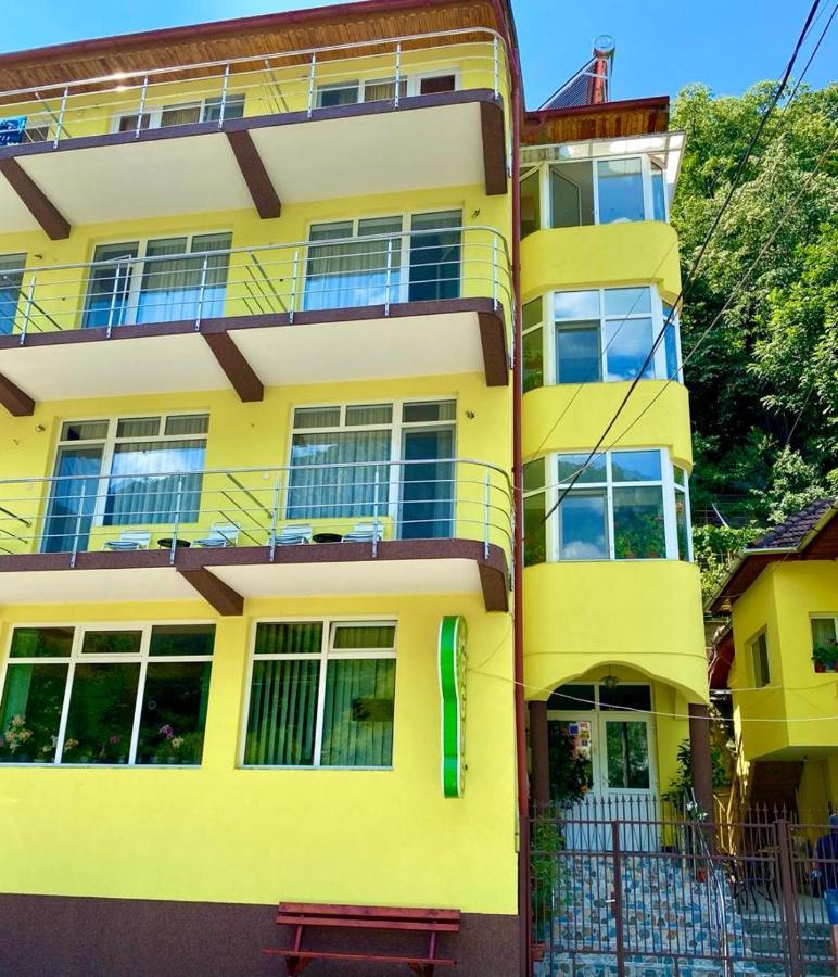 Pensiunea Argus Băile Herculane Exterior foto