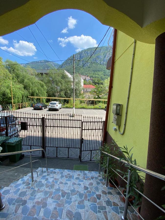 Pensiunea Argus Băile Herculane Exterior foto