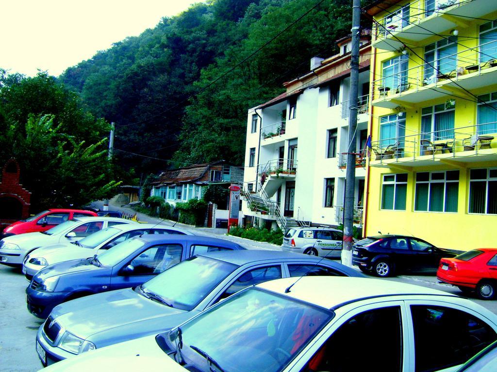 Pensiunea Argus Băile Herculane Exterior foto