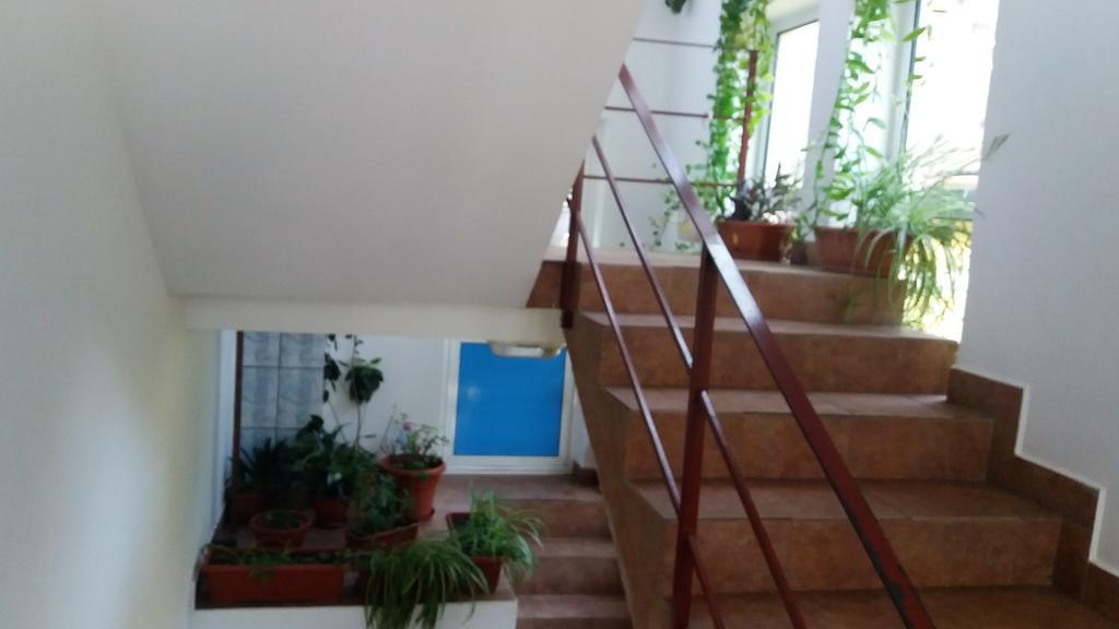 Pensiunea Argus Băile Herculane Exterior foto