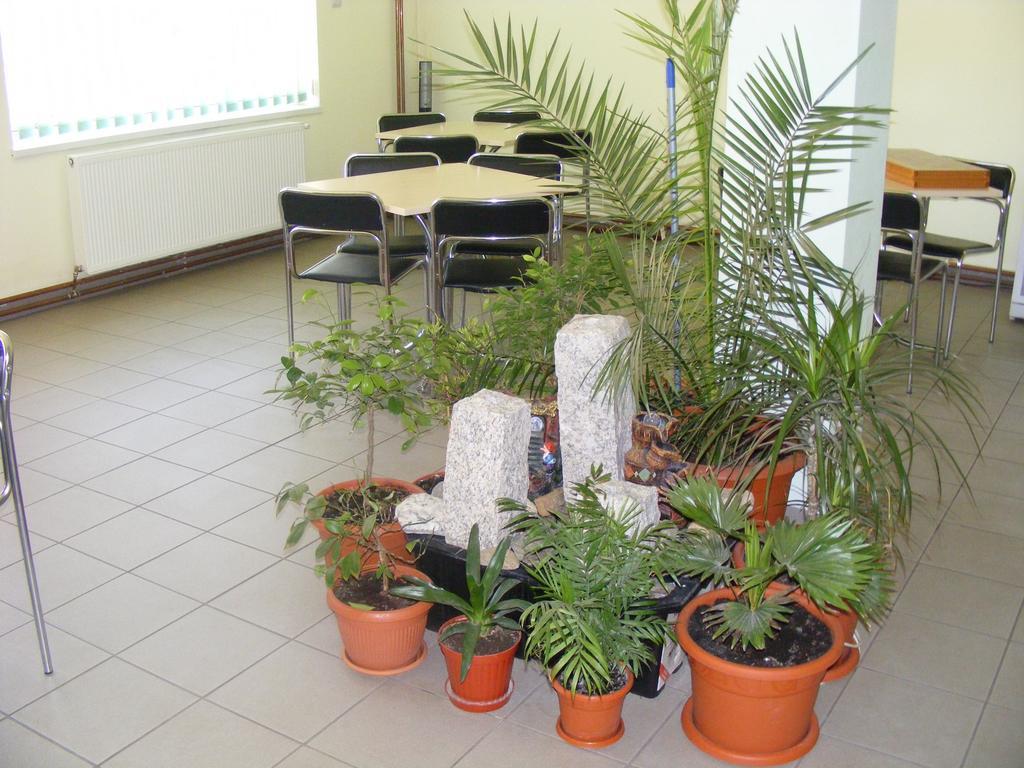 Pensiunea Argus Băile Herculane Exterior foto